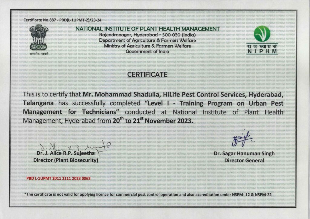 WhatsApp Image 2025-07-25 at 3.23.40 PM