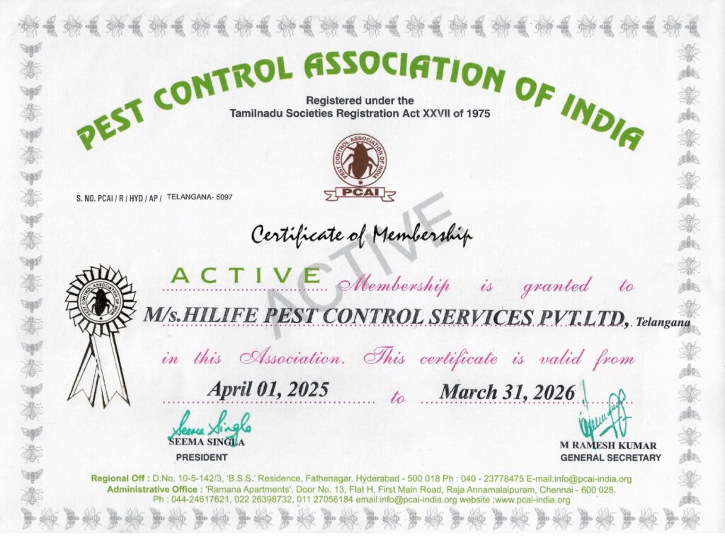 WhatsApp Image 2025-07-25 at 3.23.47 PM