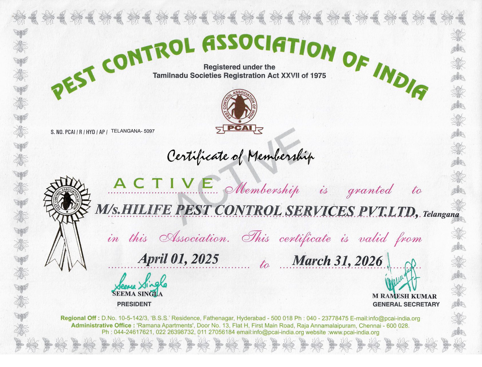 Hilife PCAI CERTIFICATE