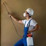Pre-Construction vs Post-Construction Termite Treatment: Which Do You Need?