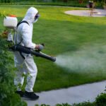 How Often Should You Schedule Pest Control Services?
