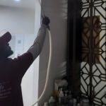 Professional Pest Control Services: Everything Property Owners Need to Know