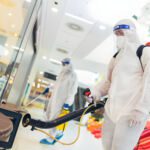 Top Pest Risks for Commercial Buildings and How to Prevent Them