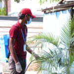 Why Annual Pest Control Contracts Save Businesses Money